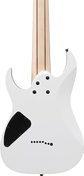 Amazon.com: Ibanez RG8 RG Standard 8-String Electric Guitar